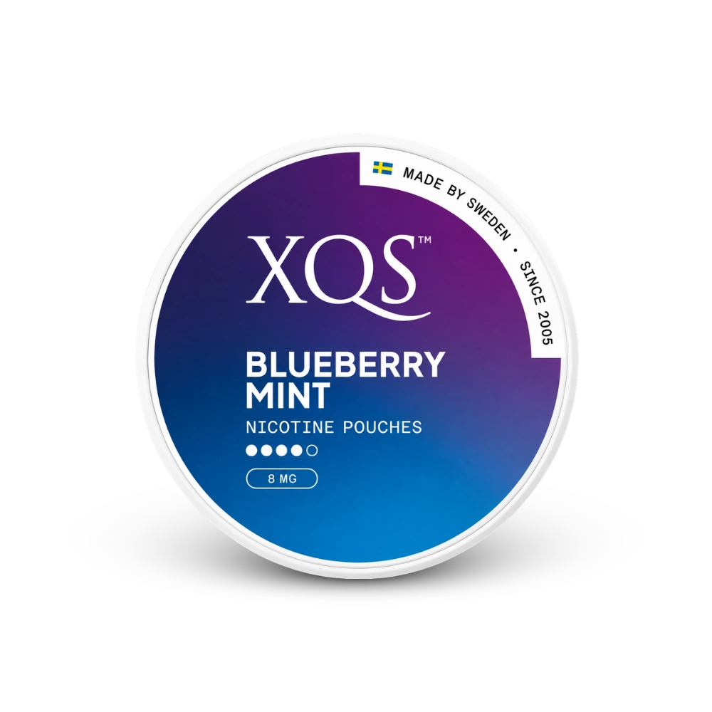 XQS Blueberry Mint Strong – kutija nikotinskih jastučića
