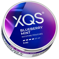 XQS Blueberry Mint Strong